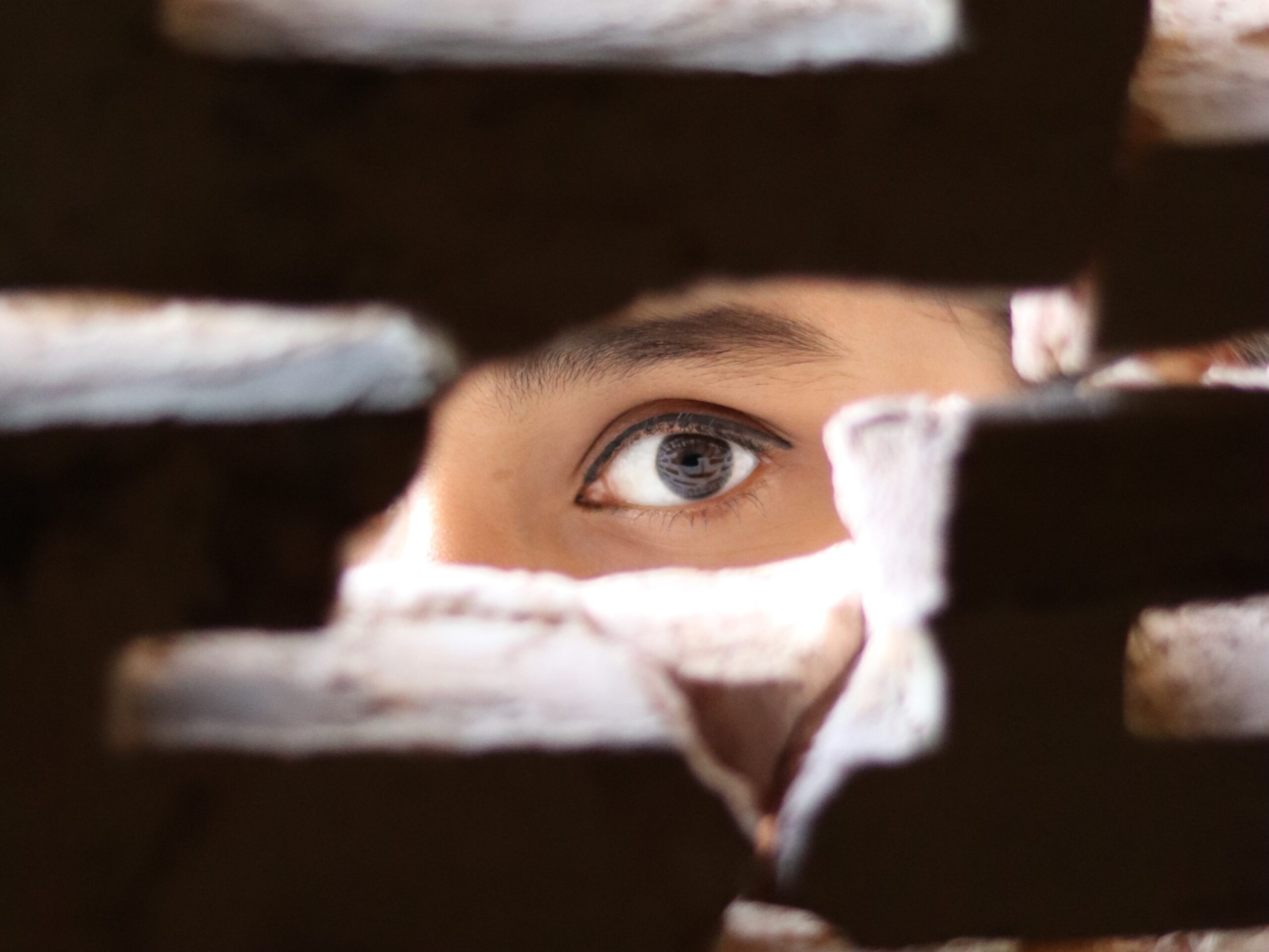 An eye looks through open bricks in a wall.